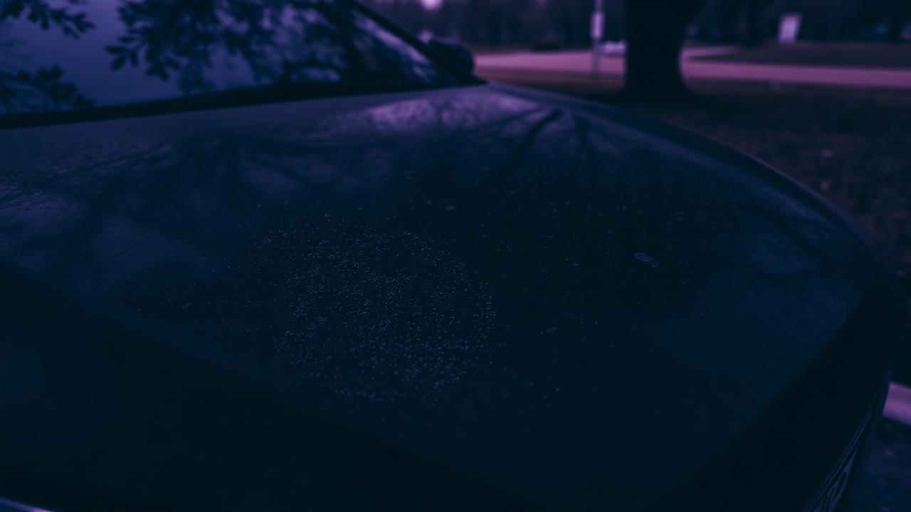Clean sedan photographed during a routine driveway maintenance wash